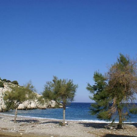 فيلا O Ioannis Kritinía المظهر الخارجي الصورة