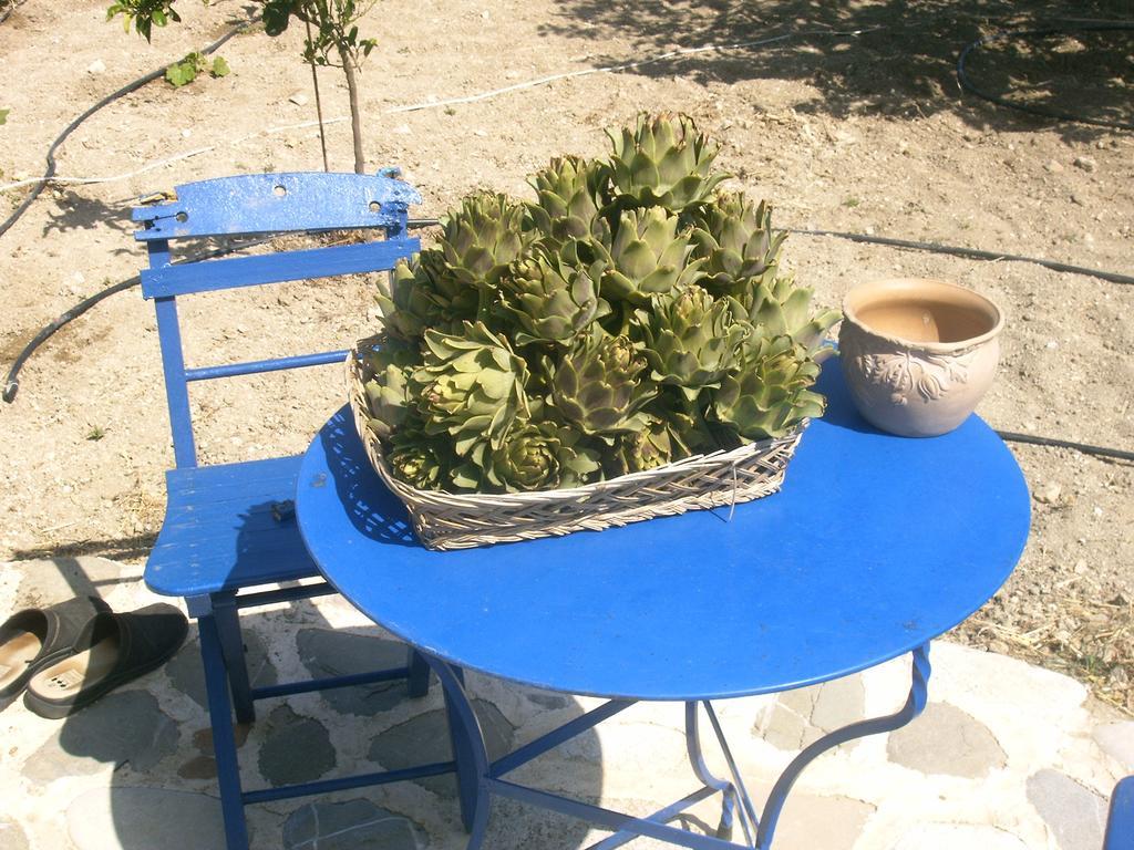 فيلا O Ioannis Kritinía المظهر الخارجي الصورة