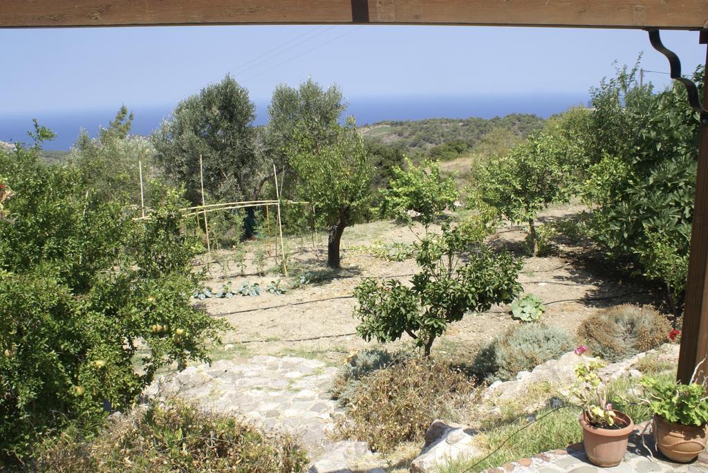 فيلا O Ioannis Kritinía المظهر الخارجي الصورة